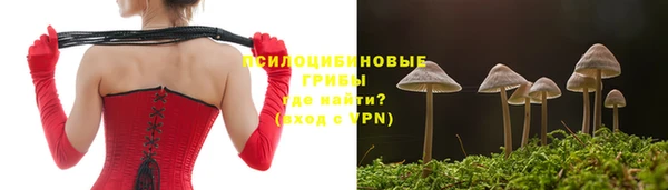 соль ск Покачи