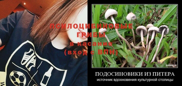 соль ск Покачи