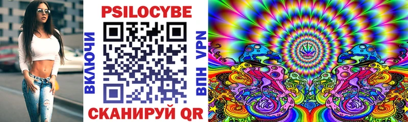 дарнет шоп  Баймак  MEGA ТОР  Галлюциногенные грибы Psilocybe 